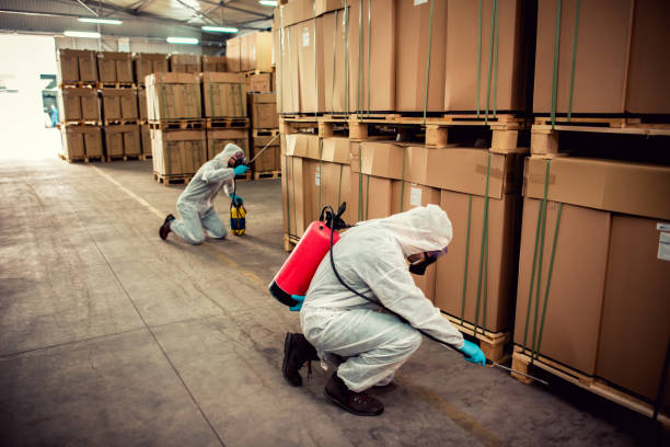 Best Pest Removal Services  in San Elizario, TX
