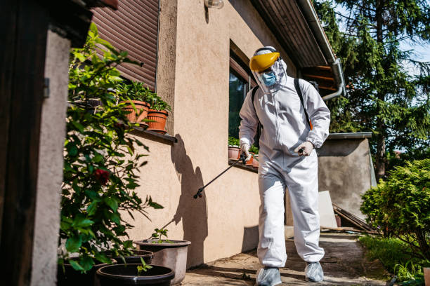 Best Exterminator Services  in San Elizario, TX
