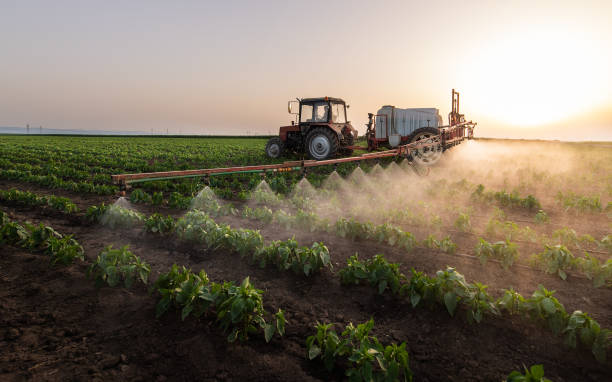 San Elizario, TX Pest Control Company