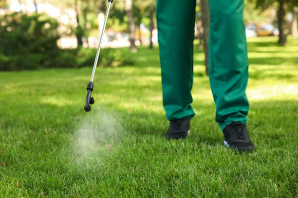 Best Mosquito Control Services  in San Elizario, TX