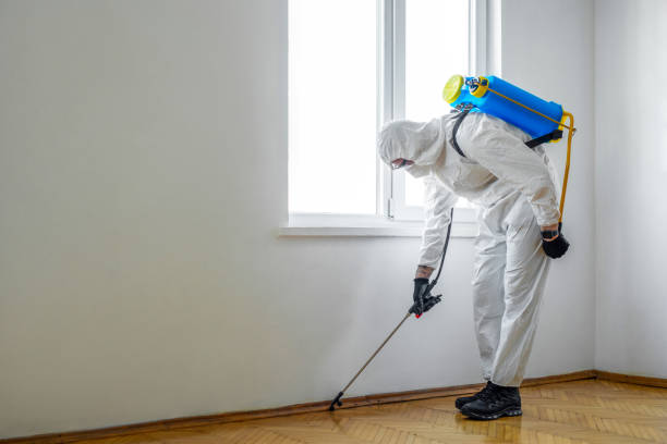 Best Residential Pest Control  in San Elizario, TX