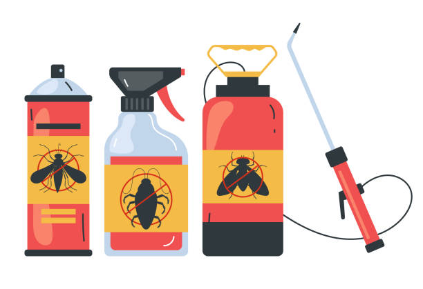 Best Bed Bug Extermination  in San Elizario, TX