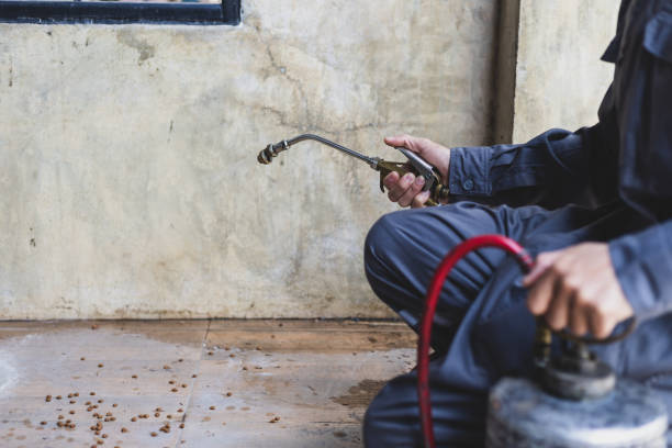 Pest Control Cost in San Elizario, TX