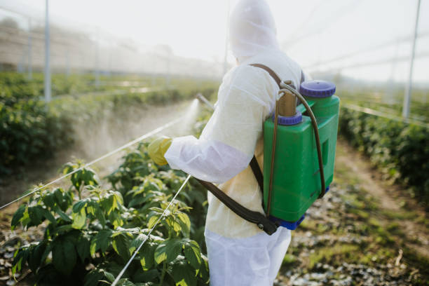 Best Pest Control Near Me  in San Elizario, TX